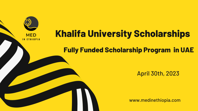 UAE Khalifa University Scholarship